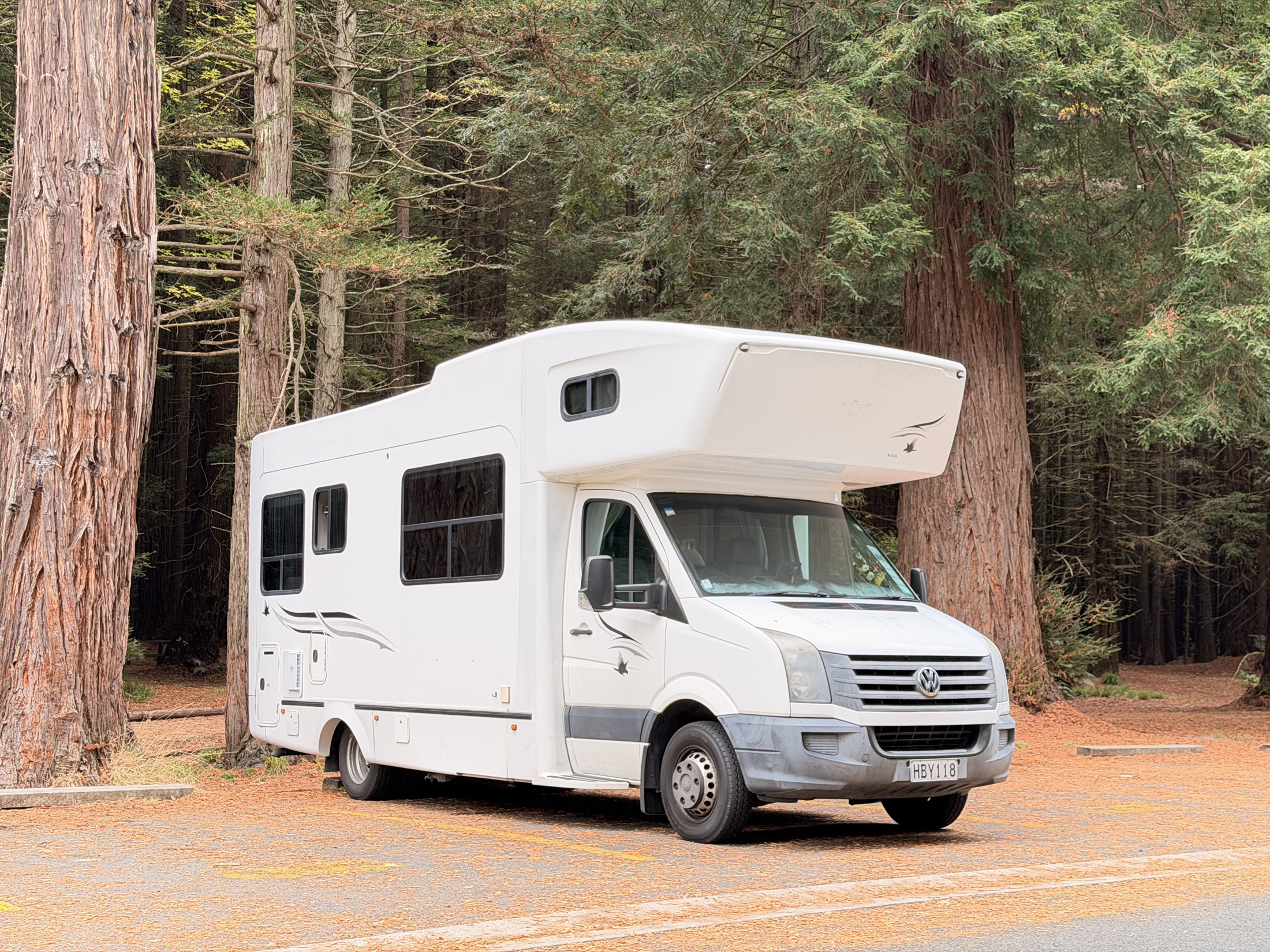 Hey Buddy parked among tall trees during a real New Zealand trip